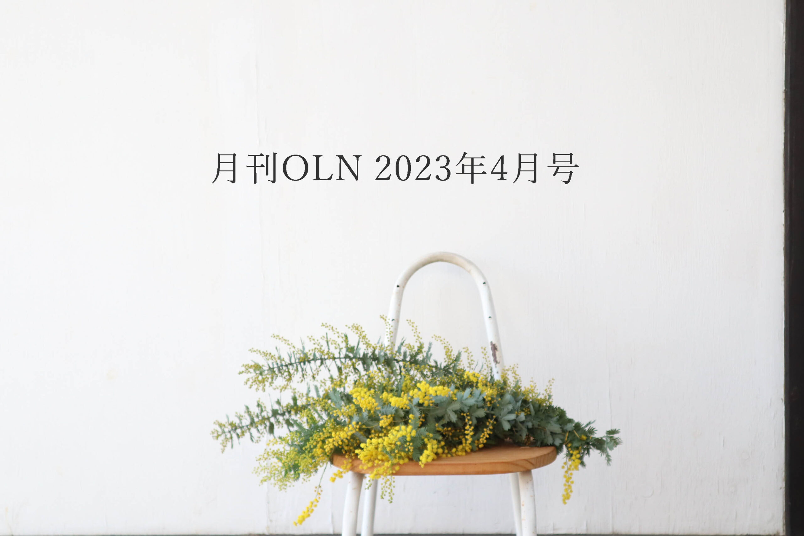 月刊OLN2023年4月号 | OLN / 井清織物